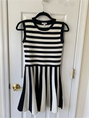 Kling Black and White Striped Knit Dress